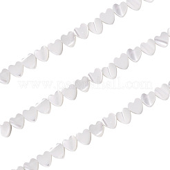 1 Strand Natural Trochid Shell/Trochus Shell Beads Strands&nbsp;BSHE-TA0001-39
