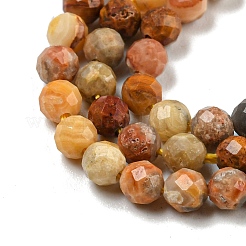 Natural Crazy Lace Agate Beads Strands&nbsp;G-A129-3mm-17