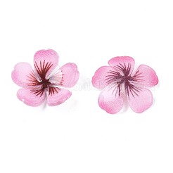 Plastic Cabochons&nbsp;KY-N015-025