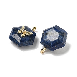 Dyed Natural Lapis Lazuli Faceted Pendants&nbsp;G-P585-01G-07