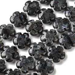 天然ラルビカイトビーズ連売り  5  - 花びらの花  シードビーズで  20x6.5mm  穴：1mm  約20個/連  15.75''（40センチメートル）&nbsp;G-L241A-21