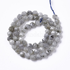 Natural Labradorite Beads Strands&nbsp;G-R465-33A