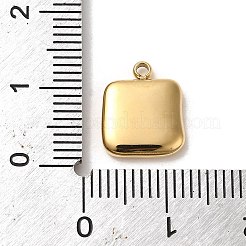 304 Stainless Steel Charms&nbsp;STAS-L022-273G