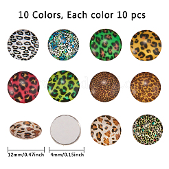 Glass Cabochons&nbsp;GLAA-SC0001-04