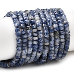 Natural Blue Spot Jasper Heishi Beads Strands&nbsp;G-A299-A14-01