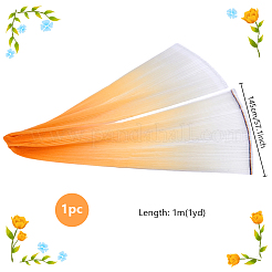 1M Gradient Color Pleated Polyester Trim&nbsp;DIY-WH0308-617
