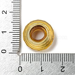 Glass European Beads&nbsp;GLAA-XCP0001-43D