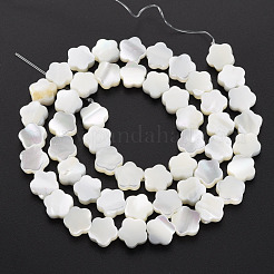 天然トロチッドシェル/トロカスシェルビーズ連売り  花  ホワイト  7.5x8x3mm  穴：0.8mm  約50個/連  15.35インチ〜15.75インチ（39cm〜40cm）&nbsp;SSHEL-T014-43B-02