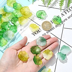 40Pcs 5 Colors Glass Beads&nbsp;GLAA-YW0003-80