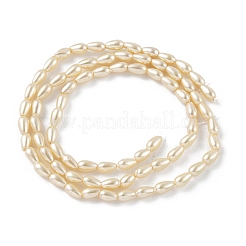 ポリッシュシェルパールビーズ連売り  ティアドロップ  シャンパンゴールド  5.5x3.5mm  穴：0.5mm  約74個/連  15.9インチ（40.5cm）&nbsp;BSHE-L042-A01-01