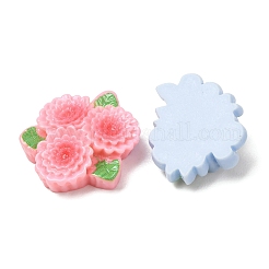 Opaque Resin Cabochons&nbsp;RE-CBA8177-03