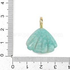 天然アマゾナイトの彫刻ペンダント  キュービックジルコニアと真鍮の金具が付いた貝殻型のチャーム  ゴールドカラー  ラックめっき  28x22x8mm  穴：4mm&nbsp;G-G330-02G-07