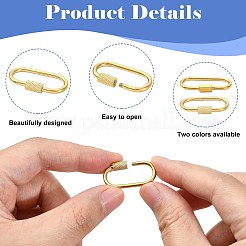 8Pcs 4 Styles 304 Stainless Steel Locking Carabiner&nbsp;STAS-FS0002-39
