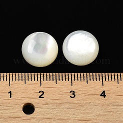 天然石ホワイトシェルカボション  半円/ドーム  ホワイトスモーク  12x4.5mm&nbsp;X-SSHEL-M022-01D