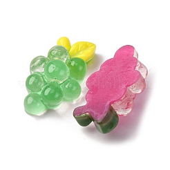 クリア樹脂カボション  果物と野菜  ミックスカラー  15.5~20.5x11.5~16x6~10mm&nbsp;CRES-Q012-03