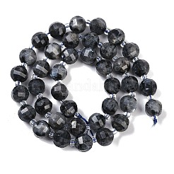 Natural Larvikite Beads Strands&nbsp;G-G182-B38-03