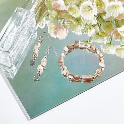 5 Strands Natural Freshwater Shell Beads Strands&nbsp;SHEL-CA0001-09