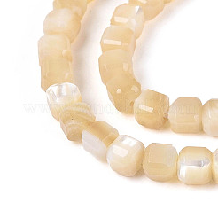 Natural Trochid Shell/Trochus Shell Beads Strands&nbsp;SSHEL-N041-04A-02