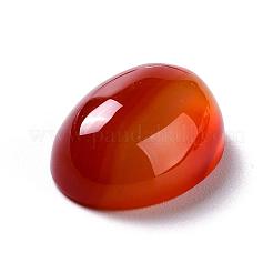 楕円形の天然カーネリアンカボション  染め＆加熱  20x15x6mm&nbsp;G-K020-20x15mm-05