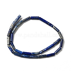 Natural Lapis Lazuli Beads Strands&nbsp;G-I326-05A