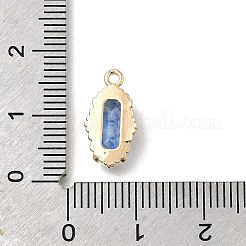 真鍮製ガラスチャーム  長方形チャーム  14KGP本金メッキ  多面カット  藤紫色  15x8x3.5mm  穴：1.4mm&nbsp;KK-U061-10G-02