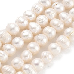 Natural Cultured Freshwater Pearl Beads Strands&nbsp;PEAR-C003-01C