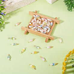 48個 12スタイル アクリル&天然パールフラワーコネクターチャーム  真鍮のループを有します  ゴールドカラー  ミックスカラー  19.5x6mm  穴：1.5mmと2mm  4個/スタイル&nbsp;PALLOY-CW00008