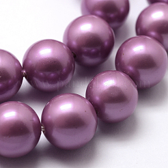 Polished Round Grade A Shell Pearl Bead Strands&nbsp;LS-BSHE-M027-6mm-11