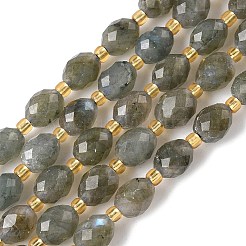 Natural Labradorite Beads Strands&nbsp;G-F809-A40-01