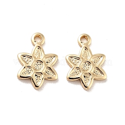 Rack Plating Brass Charms&nbsp;KK-D083-21G