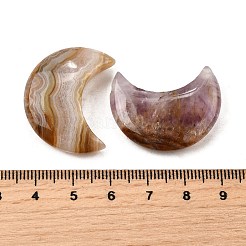 天然アメジストレースアゲートペンダント  水平穴  ムーン  30.5x24~24.5x7.5~8mm  穴：1mm&nbsp;G-A244-08E