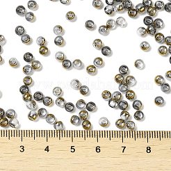 Glass Seed Beads&nbsp;X1-SEED-H002-B-D218