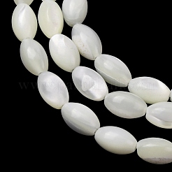 Natural Trochid Shell/Trochus Shell Beads Strands&nbsp;SH-CBA2978-09