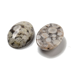 天然マイファナイトカボション  オーバル  18x13x5~5.5mm&nbsp;G-C115-01A-30