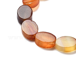 Natural Dyed & Heated Red Agate Beads Strands&nbsp;G-P559-B01-01