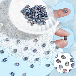 染色された天然養殖淡水真珠ビーズ120個  ライス  ダークスレートグレー  6~9x4.5~6mm  穴：0.5mm&nbsp;PEAR-PA0001-07A