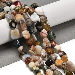 Natural Ocean Jasper Beads Strands&nbsp;G-P497-01E-90B