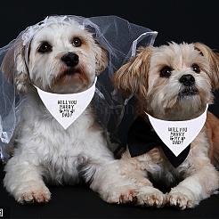 2Pcs 2 Style Cloth Pet Handkerchi&nbsp;AJEW-GF0003-42