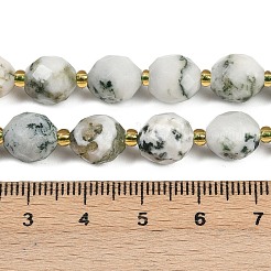 Natural Tree Agate Beads Strands&nbsp;G-N342-149I-09