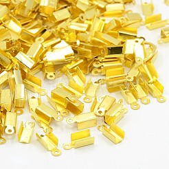 Iron Folding Crimp Ends&nbsp;X-IFIN-ZX999-G