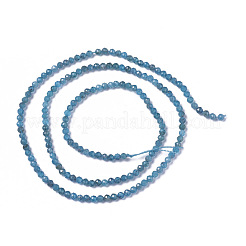 Natural Apatite Beads Strands&nbsp;G-F596-29-2mm