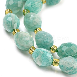 Natural Amazonite Beads Strands&nbsp;G-N342-46