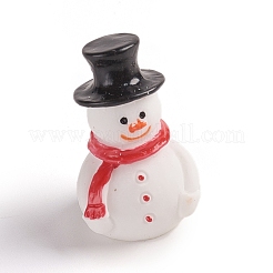 Resin Display Decorations&nbsp;RESI-WH0008-28R