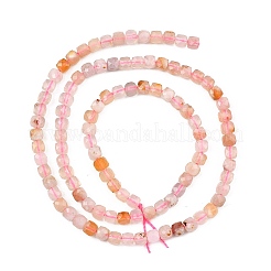 Natural Cherry Blossom Agate Beads Strands&nbsp;G-D103-C02