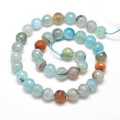 Dyed Natural Agate Faceted Round Beads Strands&nbsp;X-G-E268-04