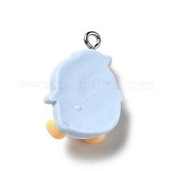 Opaque Resin Pendants&nbsp;RESI-P021-01B