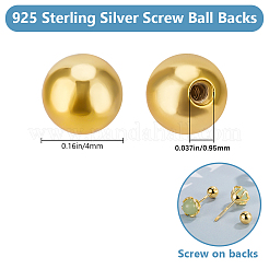 2 Pairs 2 Styles 925 Sterling Silver Ear Nuts&nbsp;STER-BBC0007-32G