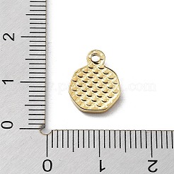304 Stainless Steel Charms&nbsp;STAS-K271-03G