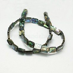 Natural Abalone Shell/Paua Shell Beads Strands&nbsp;SSHEL-G003-9-8x12x3mm