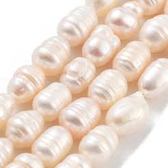 天然養殖淡水パールビーズ連売り  グレードAB  ライス  桃パフ  7~8mm  穴：0.6mm  約19個/連  6.69''（17センチメートル）&nbsp;PEAR-P062-15A